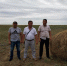 Министр сельского хозяйства Республики Калмыкия Адьяев С.Б. с рабочим визитом посетил Юстинский район. - Министерство сельского хозяйства