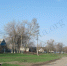 Во всех районах Калмыкии  отремонтируют дороги - Elista.Org