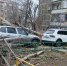 В Элисте спасатели "Центра гражданской защиты" устраняют последствия сильного ветра - Elista.Org
