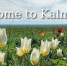 Калмыкия - KalmykiaNews.Ru