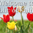 Калмыкия - KalmykiaNews.Ru
