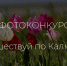 Жители Калмыкии могут отправить свои снимки на фотоконкурс - Интернет-газета Степные вести