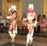 Стриптиз - KalmykiaNews.Ru