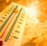 Жара в Калмыкии поднимется до +42°C - Интернет-газета Степные вести