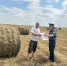 В поле зрения работников МЧС – заготовка и условия хранения грубых кормов - МЧС Республики Калмыкия
