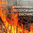 О лесопожарной обстановке на территории лесного фонда Республики Калмыкия по состоянию на 06 июня 2024 года - Калмприрода