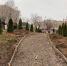 В Элисте 30 саженцев туи украсили будущую экотропу по ул. Б. Б. Городовикова (ФОТО) - Elista.Org