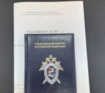 В Яшалте несовершеннолетний осужден за вымогательство денежных средств