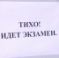 Сегодня выпускники сдают ЕГЭ по биологии, географии и иностранным языкам. - ГТРК