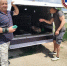 В Элисте в рамках исполнения нового государственного контракта продолжается системная работа по гуманному регулированию численности безнадзорных животных. - ГТРК