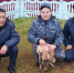 Кинологи УФСИН Калмыкии приняли в свою команду новых щенков служебных собак - Elista.Org