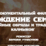 В Калмыкии состоялась онлайн-премьера фильма о семейных традициях - Юг России