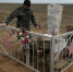Калмыцкие поисковики привели в порядок воинские обелиски - Elista.Org