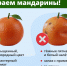Жителям Калмыкии перед Новым годом дали советы по мандаринам   - Интернет-газета Степные вести