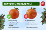 Жителям Калмыкии перед Новым годом дали советы по мандаринам  