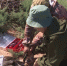 Сегодня свой профессиональный праздник отмечают те, кто выбрал сферой своих научных интересов орнитологию. - ГТРК