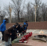 img - ЛДПР
