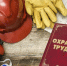 В Калмыкии пройдет конкурс по охране труда - Интернет-газета Степные вести