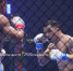 Зрелищный вечер ММА: в Элисте прошел турнир БЕТСИТИ Fight Nights 135 - Интернет-газета Степные вести