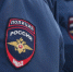Полицейскими Элисты задержан подозреваемый в краже 100 000 рублей у своего знакомого - МВД Республики Калмыкия