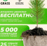 Элистинцев пригласили стать частью большой экологической акции - Интернет-газета Степные вести